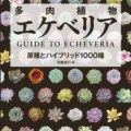 多肉植物エケベリア Guide To Echeveria
